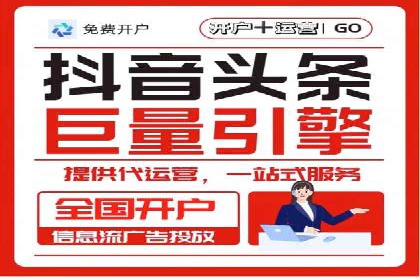 百度竞价赚钱的实战案例分析